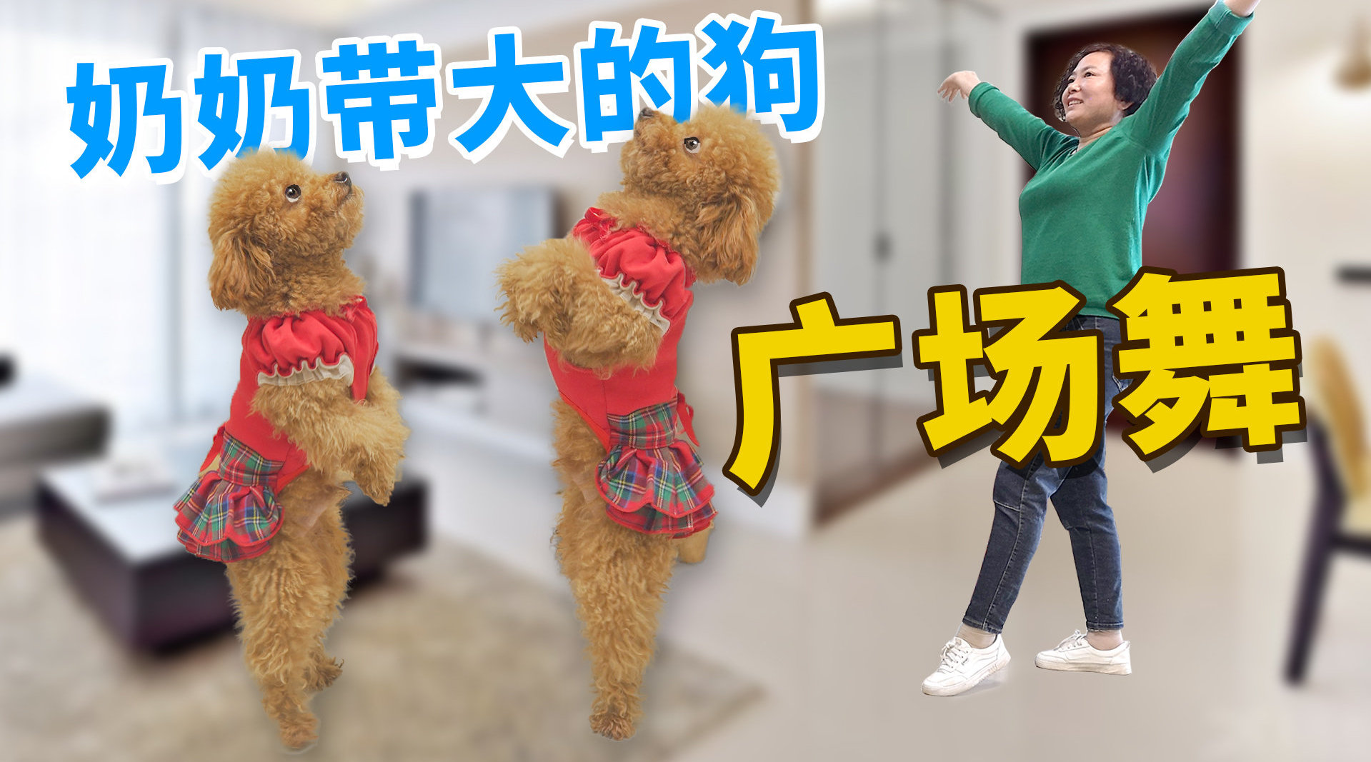 养大型犬到底有多快乐